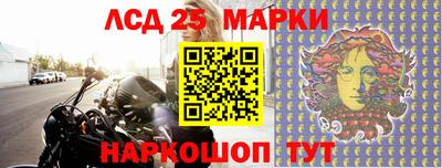стаф Абакан