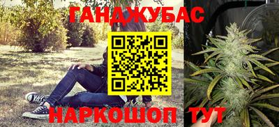 стаф Абакан